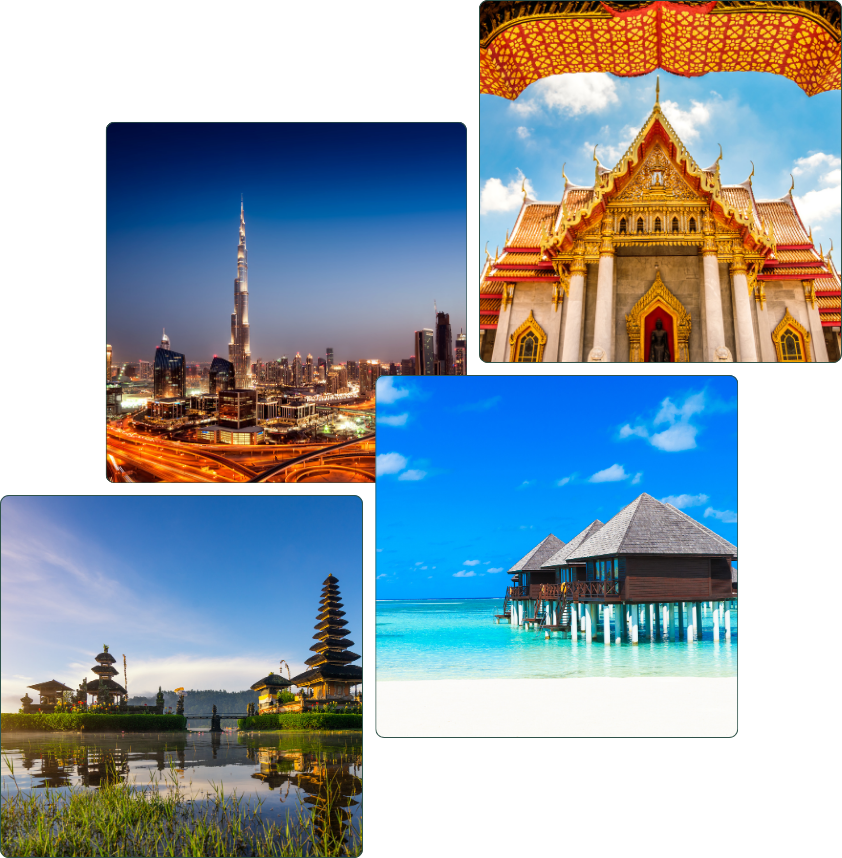 International Travel Packages